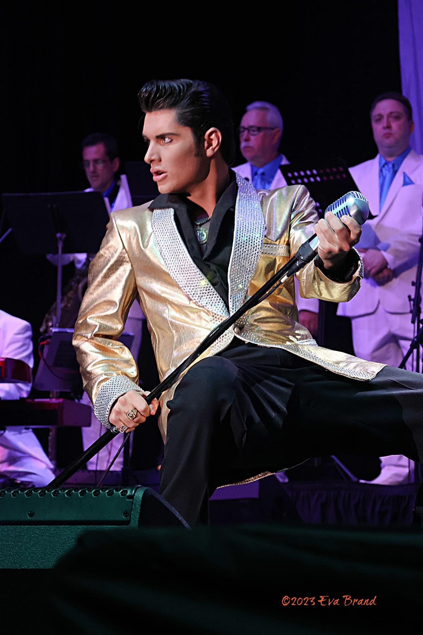 Elvis live03.jpg