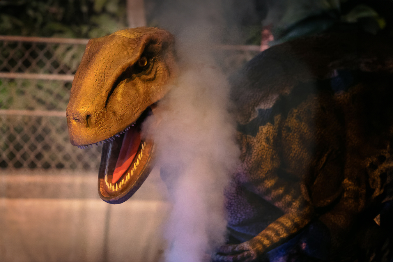 Dino 005